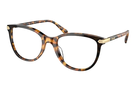brille Coach HC6220U 5776