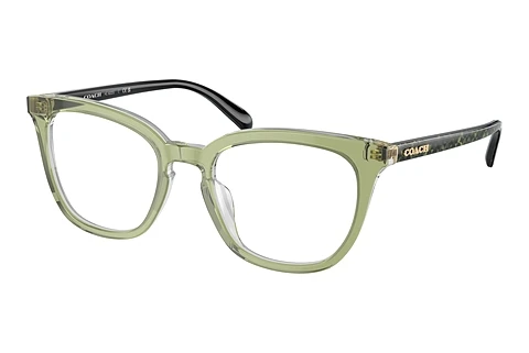 brille Coach HC6222U 5786