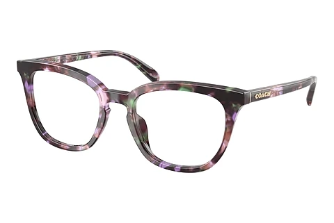 Óculos de design Coach HC6222U 5843