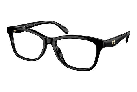 brille Coach HC6231U 5002
