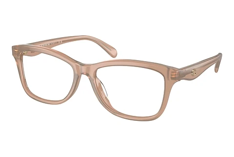 brille Coach HC6231U 5808
