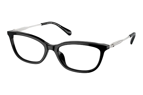 brille Coach HC6237U 5002