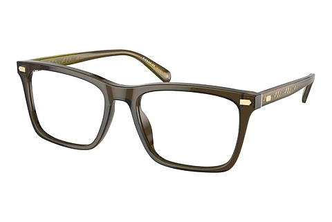 brille Coach HC6238U 5818