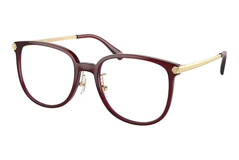 brille Coach HC6241D 5824