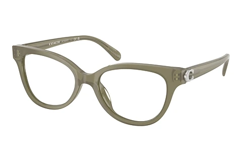 brille Coach HC6247U 5840
