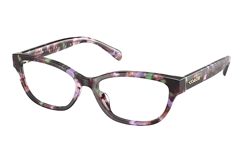 Brille Coach HC6250U 5843