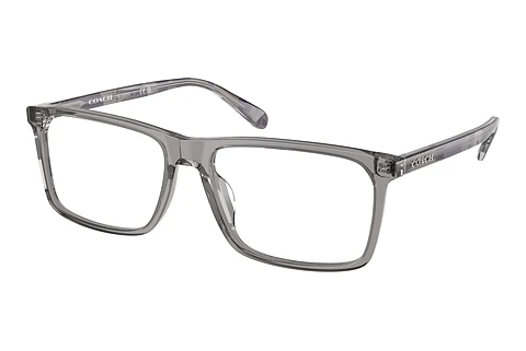 brille Coach HC6251U 5849