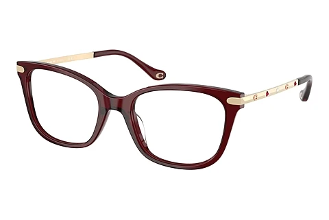 brille Coach HC6261BU 5393