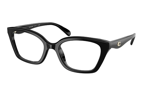 Eyewear Coach HC6270U 5002