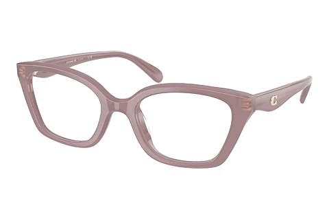 Eyewear Coach HC6270U 5495