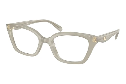 Eyewear Coach HC6270U 5905