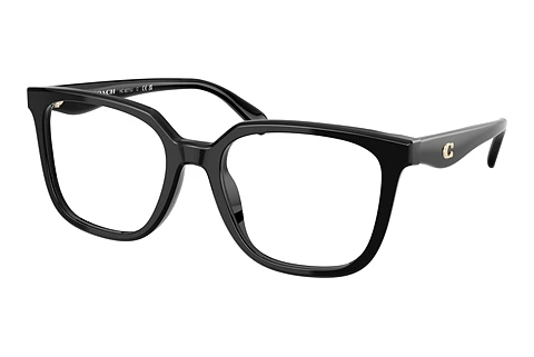 Occhiali design Coach HC6271U 5002
