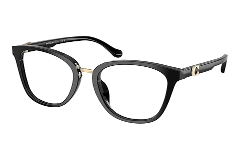 Eyewear Coach HC6272U 5002