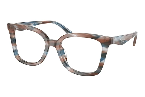 Eyewear Coach HC6274U 5899