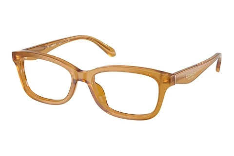 Occhiali design Coach HC6275U 5774