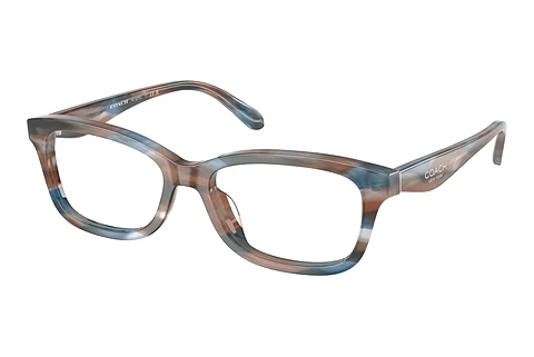 Eyewear Coach HC6275U 5899