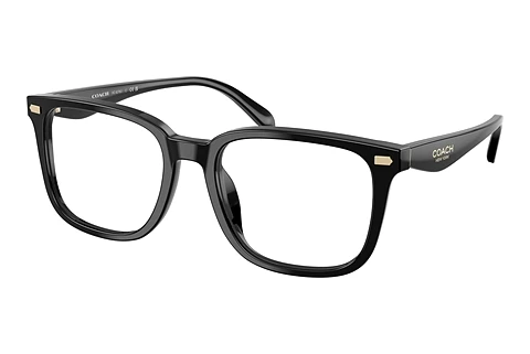 Eyewear Coach HC6276U 5002