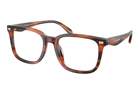 Eyewear Coach HC6276U 5906