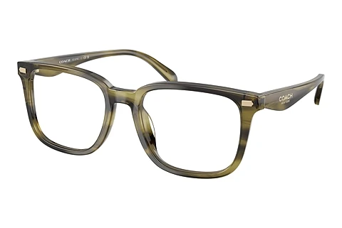 Eyewear Coach HC6276U 5907