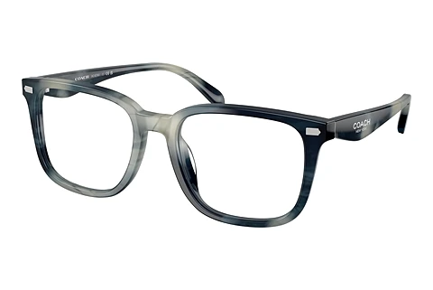 Eyewear Coach HC6276U 5909