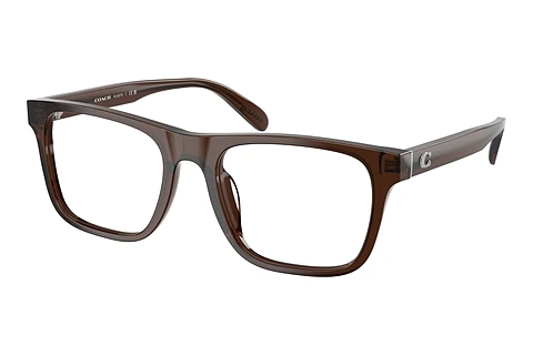 Eyewear Coach HC6277U 5911