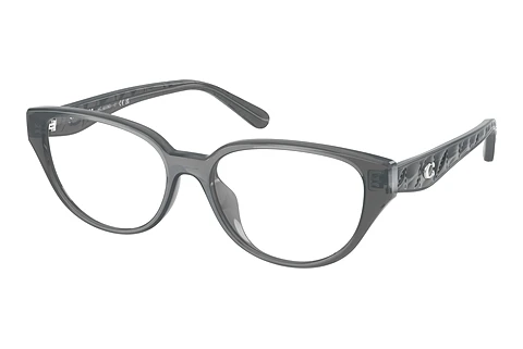 Eyewear Coach HC6279D 5918