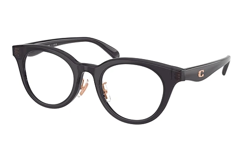Eyewear Coach HC6280D 5104