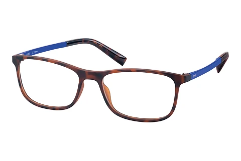 Óculos de design Esprit ET33431 545