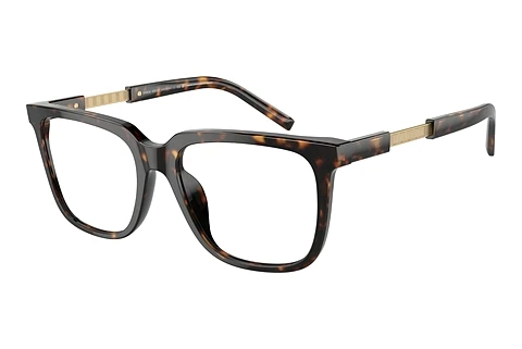 Eyewear Giorgio Armani AR7252U 5879