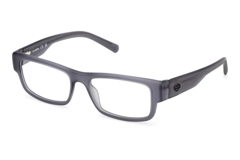 Eyewear Harley-Davidson HD50111 020
