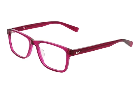 Eyewear Nike NIKE 1000C 653