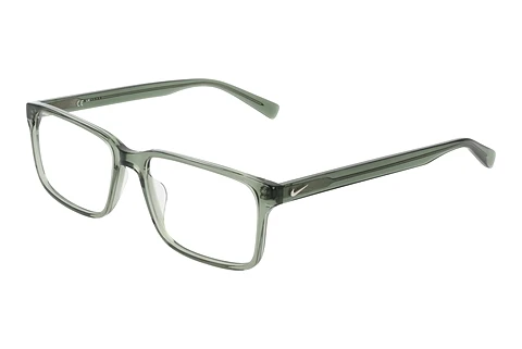 Eyewear Nike NIKE 1001 311