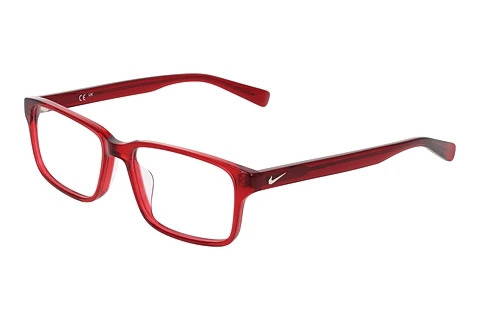 Eyewear Nike NIKE 1001C 600