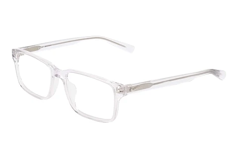 Gafas de diseño Nike NIKE 1001C 900