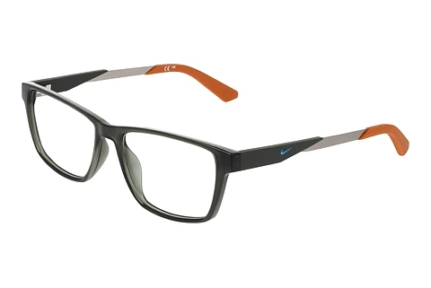 Eyewear Nike NIKE 5101 302