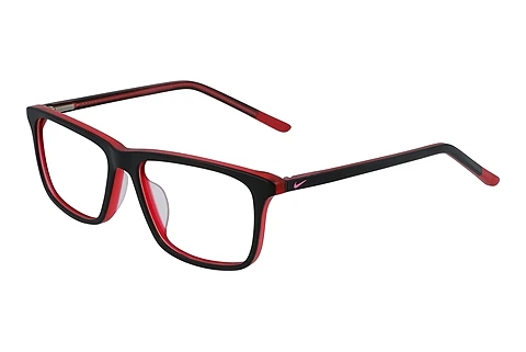 Eyewear Nike NIKE 5541 015