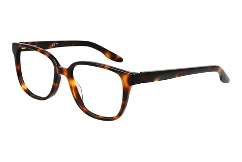 Eyewear Nike NIKE 7172 239