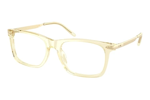 Očala Ralph Lauren RL6253U 5034