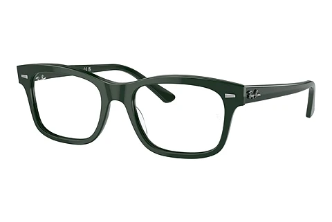 Eyewear Ray-Ban MR BURBANK (RX5383 8226)
