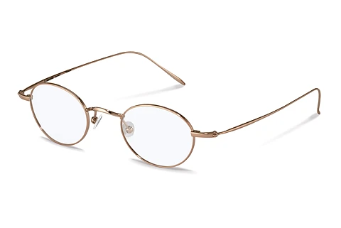 Designerbrillen Rodenstock R4792 G