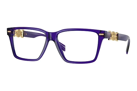 Eyewear Versace VE3335 5419