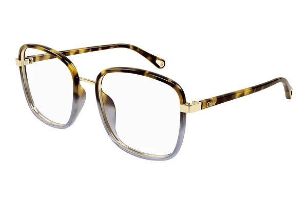Gafas de diseño Chloé CH0034O 020