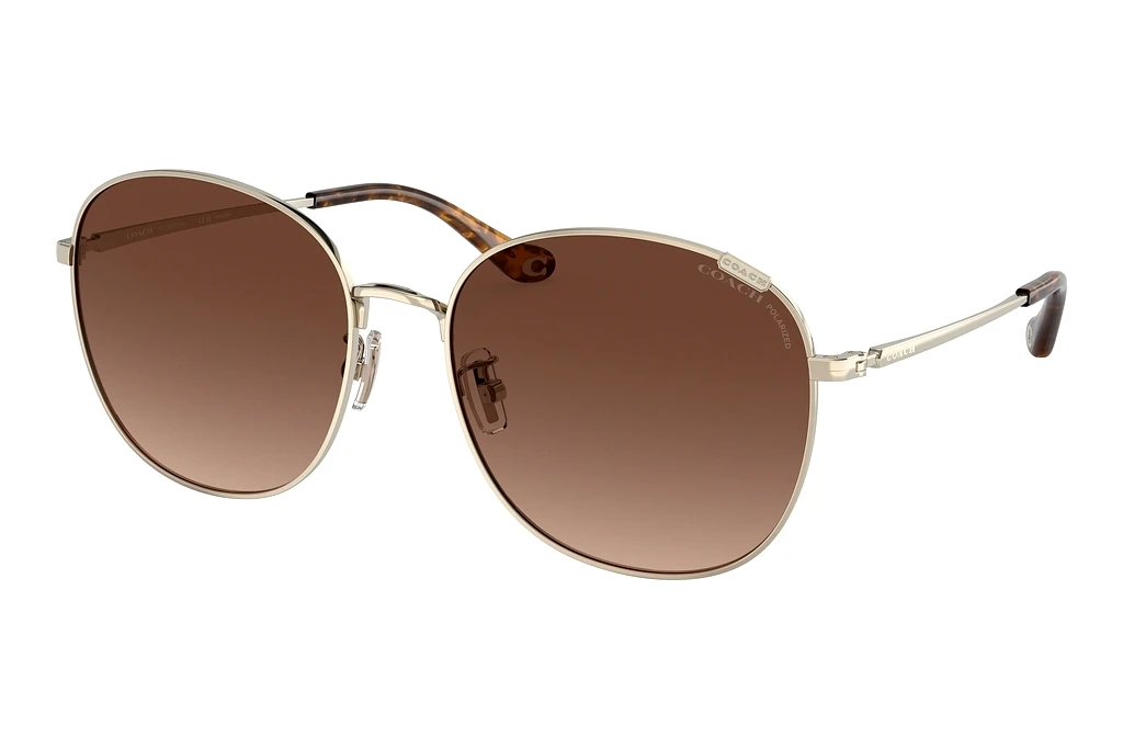Coach   HC7134 9005T5 Brown Gradient PolarShiny Light Gold