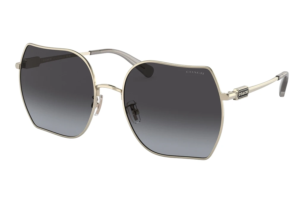 Coach   HC7142 90058G Grey GradientShiny Light Gold