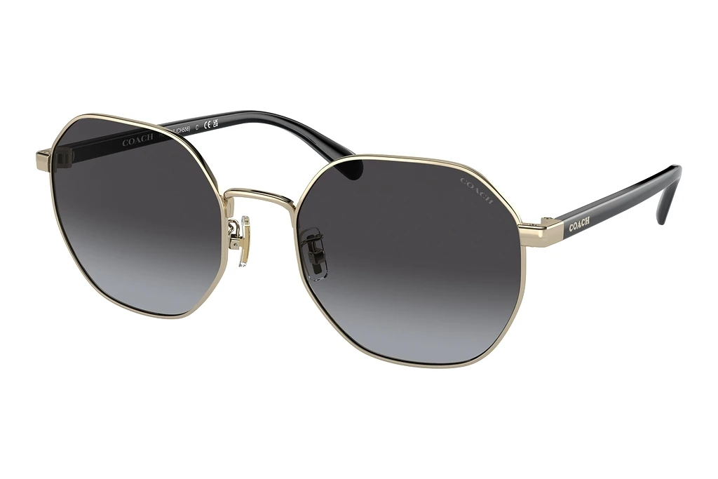 Coach   HC7147 90058G Grey GradientShiny Light Gold