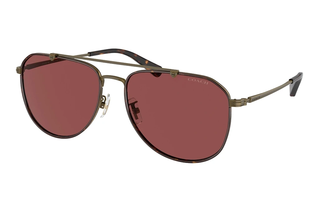 Coach   HC7164 933375 WineAntique Gold/Dark Tortoise