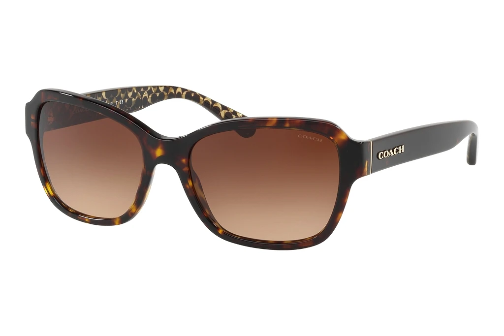 Coach   HC8232 550713 Brown GradientDark Tortoise