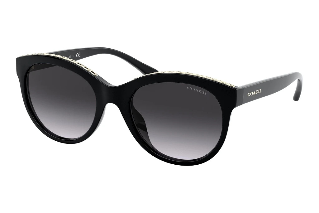 Coach   HC8297U 50028G Grey GradientBlack