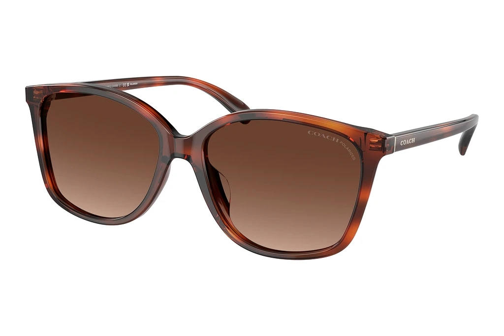 Coach   HC8361U 5741T5 Brown Gradient PolarizedCaramel Tortoise