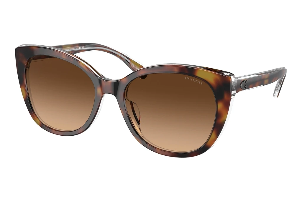 Coach   HC8365U 574274 Brown GradientTortoise/Transparent Beige